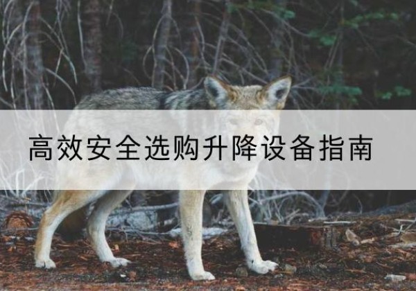 虎林升降货梯厂家推荐-*安全选购升降设备指南