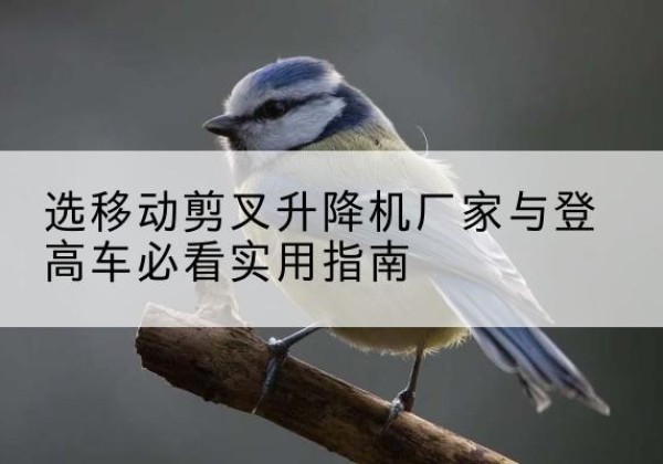 虎林电动升降机厂家-选移动剪叉升降机厂家与登高车必看实用指南