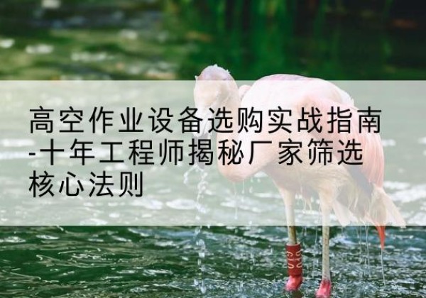 虎林剪叉式升降机厂家-高空作业设备选购实战指南-十年工程师揭秘厂家筛选核心法则