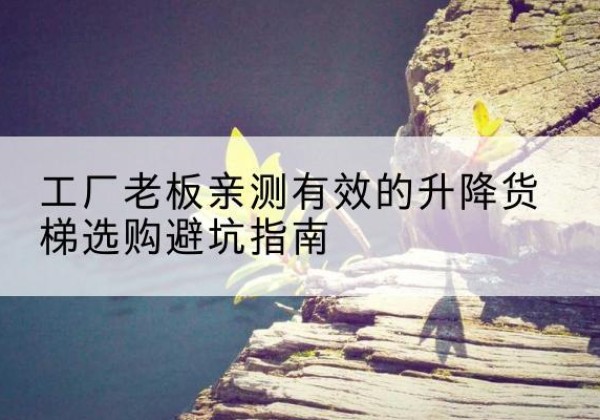 虎林升降货梯怎么选-工厂老板亲测有效的升降货梯选购避坑指南